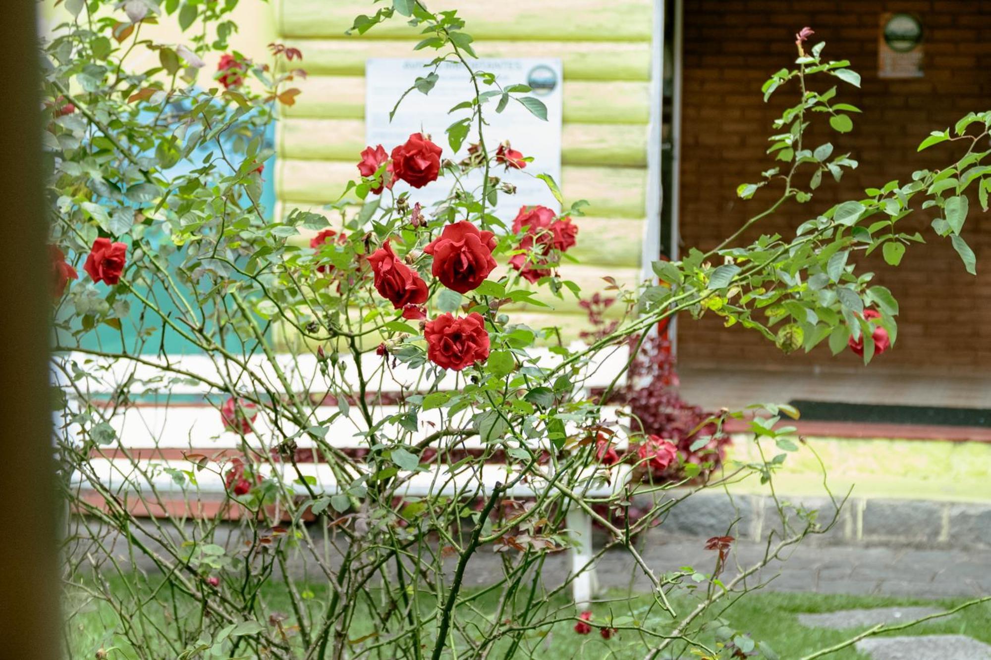 Velinn Pousada Casa De Campos Capivari House Campos do Jordão Pokoj fotografie